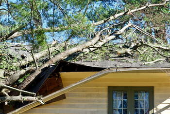 Storm Damage in Inverness, Florida by PJ Roofing, Inc